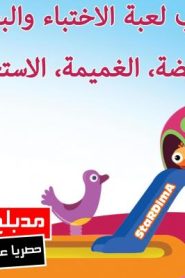 فلم كرتون العب لعبة الاختباء والبحث مدبلج عربي