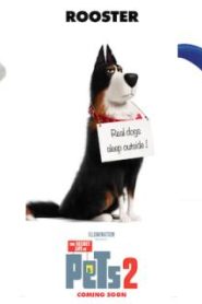 فلم كرتون الحياة السرية للحيوانات الأليفة 2 – The Secret Life of Pets 2 مدبلج