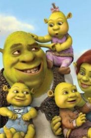 فيلم الكرتون شريك 4 Shrek Forever After مدبلج عربي