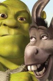 فيلم كرتون shrek 2 مترجم عربي