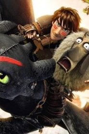 شاهد فيلم Dragons Dawn of the Dragon Racers 2014 مترجم عربي