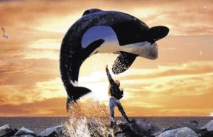 فلم الحرية لويلي Free Willy مترجم عربي