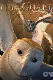 فلم Legend of the Guardians The Owls of Ga’Hoole مترجم