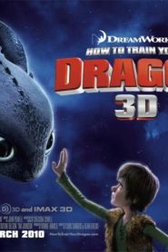 فيلم كرتون كيف تروض تنينك – How to Train Your Dragon مترجم عربي