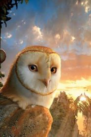 فيلم كرتون أسطورة الحراس: بومة غهول Legend of the Guardians: The Owls of Ga’Hoole مترجم